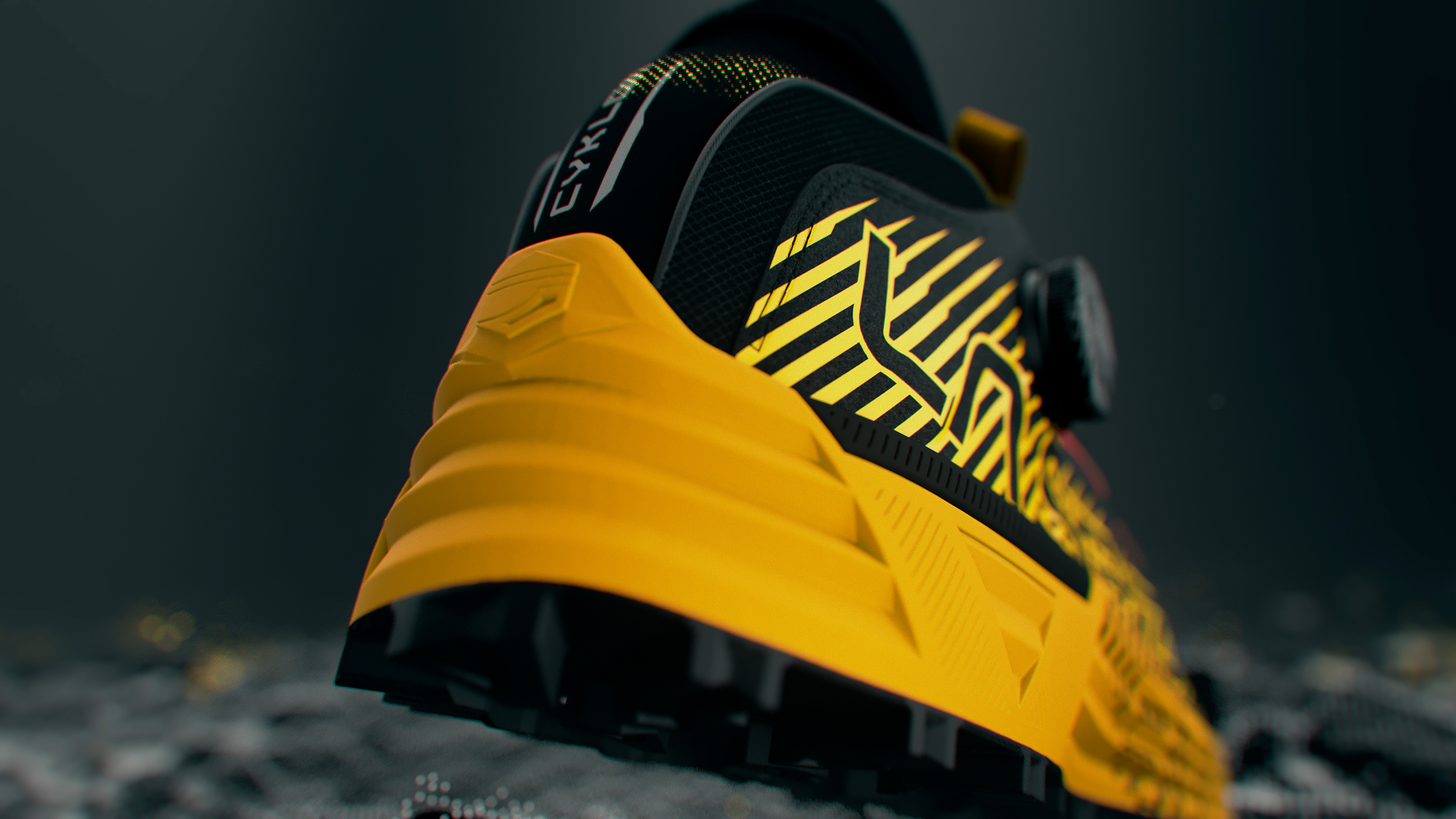 BOA / La Sportiva 5